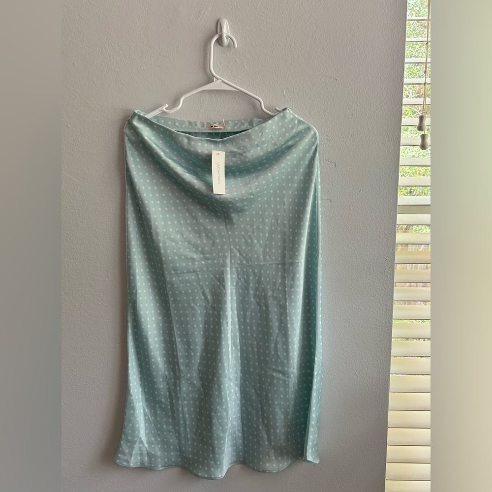Francesca’s Mi Ami Size L MildredMidi Skirt